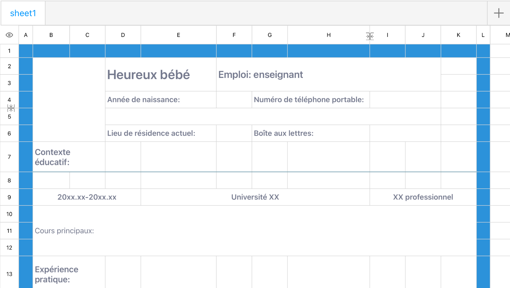CV des enseignants